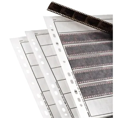 Hama Negativhüllen 2251 | Archivhüllen für 7 Kleinbild-Negativstreifen à 6 Bilder | 24x36 mm | Pergamin matt | 100 Stück