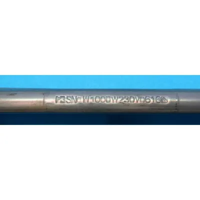 Heizkörper 1000W 230V für Heizung Gorenje 498481 Boilerheizung