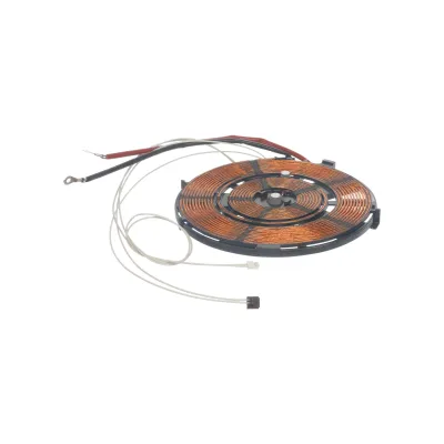 Heizzone-Induktion 11009028