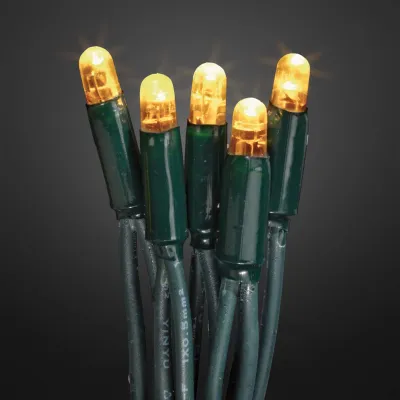 hellum LED-Lichterkette 555110 | 80 LEDs | bis 100m verlängerbar | 8,1m | warmweiß | außen & innen | grünes Kabel