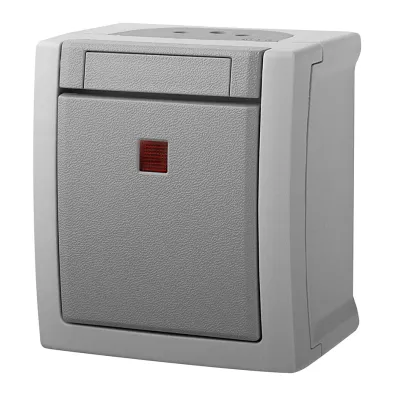 Panasonic Kontroll-Ausschalter 90591023-DE | Aufputz | 1-polig | LED beleuchtet | IP54 | IK05 | grau