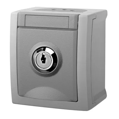 Panasonic Steckdose abschließbar 90591049-DE | IP54 Aufputz | Klappdeckel mit Schloss | CEE 7/3 Typ F | grau