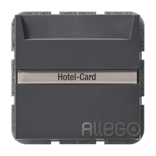 Bild: Hoteltaster anth 1W UP System 55 IP20