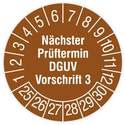 HT Instruments Sicherheitsprüfplaketten 2002270 | Prüfetiketten selbstklebend | 30mm Ø | gelb | 108 Stück