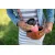 Bild: Emsa Isolierbecher Travel Mug Compact N21604 | 0,3l Edelstahl | auslaufsicher | spülmaschinenfest | BPA-frei | rot