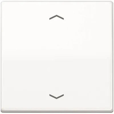 JUNG Wippe für KNX Taster 1fach AS101PWW | Jalousie Symbol Pfeile | Duroplast glänzend | 55x55mm | alpinweiß RAL 9016
