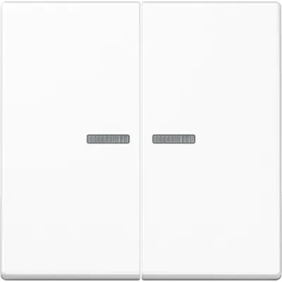 JUNG Wippe für Serientaster | A102KO5BFWW | 2fach KNX Taster | Lichtleiter | Thermoplast glänzend | 55x55 mm | alpinweiß