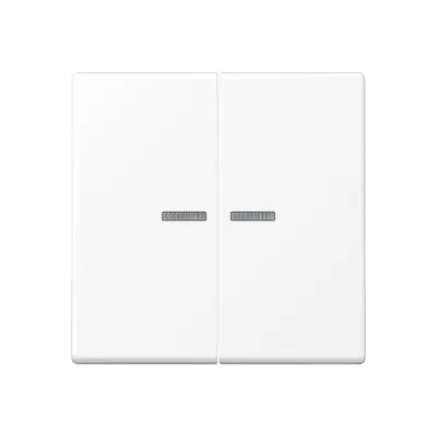 JUNG Wippe 2-fach A102KO5BFWWM | Serientaster KNX | mit Lichtleiter | Thermoplast matt | schneeweiß RAL 9016 | 55x55 mm