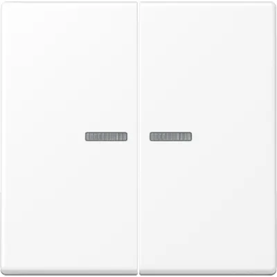 JUNG Wippe 2-fach A102KO5BFWWM | Serientaster KNX | mit Lichtleiter | Thermoplast matt | schneeweiß RAL 9016 | 55x55 mm