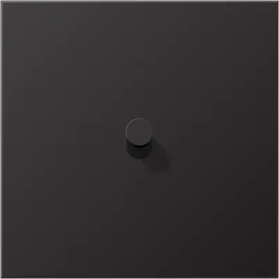 JUNG Abdeckung Schalter AL12-0DK01 | 1-fach Kipphebel Kegel | Aluminium lackiert matt | 70x70 mm | dark