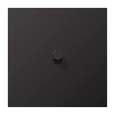 JUNG Abdeckung Schalter AL12-0DK01 | 1-fach Kipphebel Kegel | Aluminium lackiert matt | 70x70 mm | dark