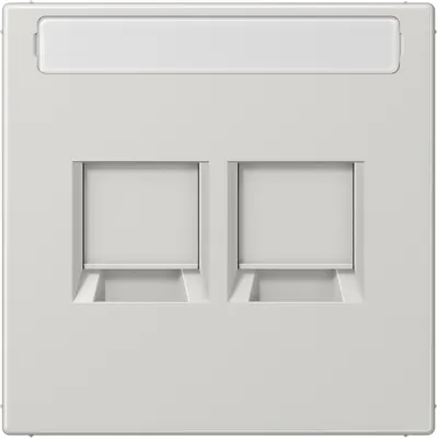JUNG Abdeckung Modular-Jack 2-fach LS1969-2NAWELG | Keystone-Halterung | Klemmbefestigung | Kunststoff | lichtgrau