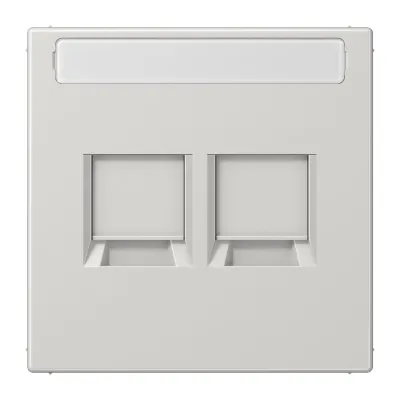 JUNG Abdeckung Modular-Jack 2-fach LS1969-2NAWELG | Keystone-Halterung | Klemmbefestigung | Kunststoff | lichtgrau