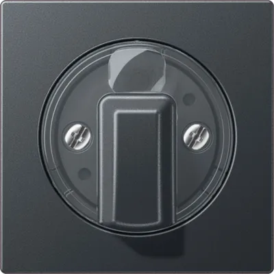 JUNG Abdeckung für Drehschalter A1541BFANM | Jalousie Drehknopf | Thermoplast matt | bruchsicher | IP44 | anthrazit