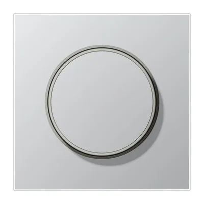 JUNG Abdeckung für Drehdimmer AL 1740 | Drehknopf | LS Serie | Aluminium matt | 70x70 mm | RAL 9006