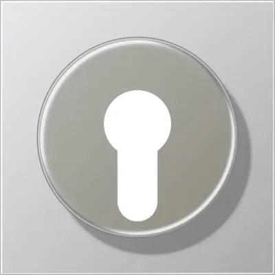 JUNG Abdeckung für Schlüsselschalter AL2928 | Aluminium matt | Metall | IP44 | 70x70 mm | silber