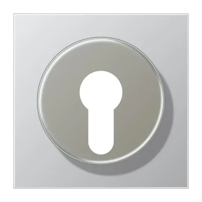 JUNG Abdeckung für Schlüsselschalter AL2928 | Aluminium matt | Metall | IP44 | 70x70 mm | silber