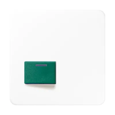 JUNG Abdeckung Abstelltaster CD 642 C WW für Ackermann 73642C | grüne Taste | Kontrollfenster | alpinweiß | 67x67 mm