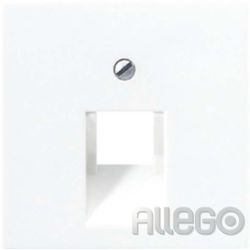 Jung Abdeckung aws für IAE/UAE-Dose A 569-1 BFPLUA WW
