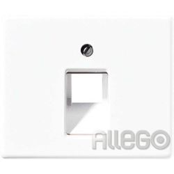 Jung Abdeckung aws für IAE/UAE-Dose SL 569-1 UA WW