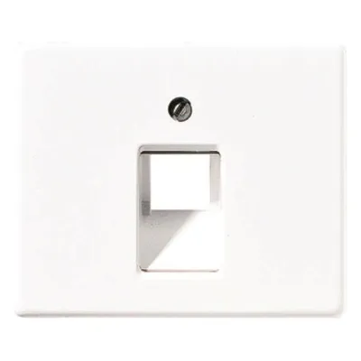 Jung Abdeckung aws für IAE/UAE-Dose SL 569-1 UA WW