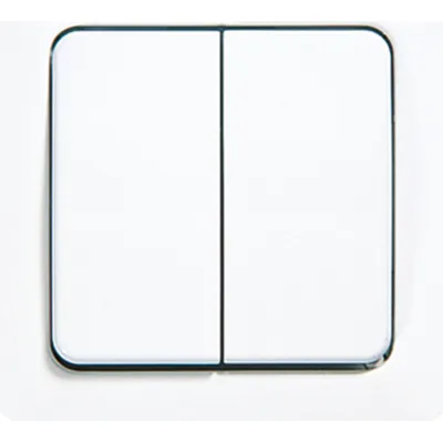 JUNG Wippe Abdeckung 5561-5WW | Serienschalter ST 550 | Duroplast | glänzend | alpinweiß RAL 9016 | 67x67 mm