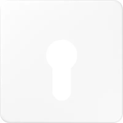 JUNG Abdeckung CD525WW für Schlüsselschalter 104.15/134.15/133.15/106.15 | Thermoplast | 67x67 mm | glänzend | alpinweiß