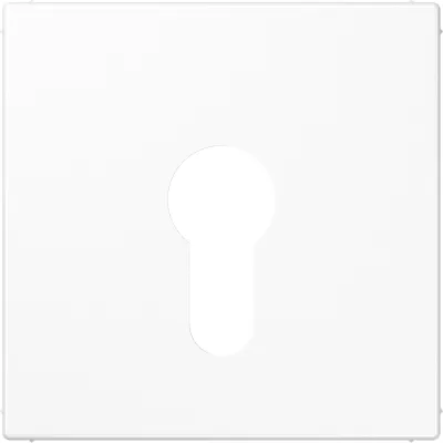 JUNG Abdeckung für Schlüsselschalter LS925WW | Zentralplatte | 70x70mm | Duroplast | glänzend | alpinweiß RAL 9010
