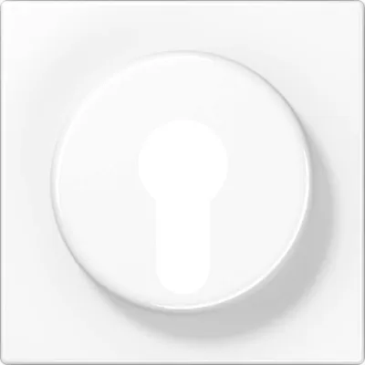 JUNG Abdeckung für Schlüsselschalter LS928WW | Zentralplatte | Thermoplast glänzend | IP44 | alpinweiß | RAL 9010