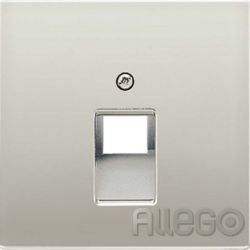 Jung Abdeckung eds für IAE/UAE-Dose ES 2969-1 UA