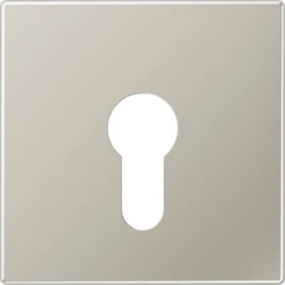 JUNG Abdeckung Schlüsselschalter | Edelstahl matt | Klemmbefestigung | 70x70mm | kompatibel 104.15 134.15