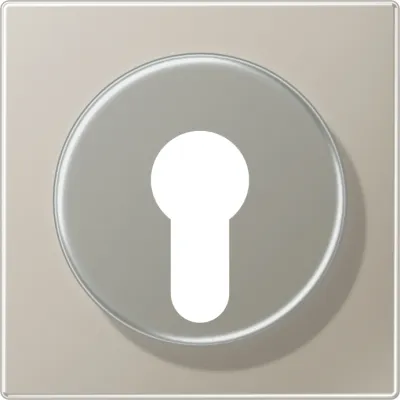 JUNG Abdeckung für Schlüsselschalter ES2928 | Edelstahl matt | passend für 104.28, 134.18, 133.18, 106.28 | IP44