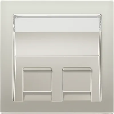 JUNG Zentralplatte Mod-Jack ES 569-30 BF PL-L | 2-fach | Klemmbefestigung | Edelstahl matt | beschriftbar | bruchsicher