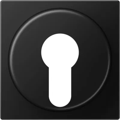 JUNG Abdeckung für Schlüsselschalter A 528 PL SWM | Zentralplatte | IP44 | Thermoplast | 55x55 mm | graphitschwarz matt