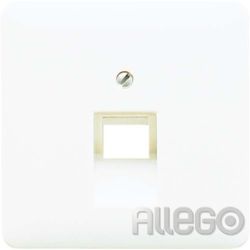 Jung Abdeckung für IAE/UAE 1x8polig CD569-1UAPT ST550/Cdplus/500 Platin Jung Abd