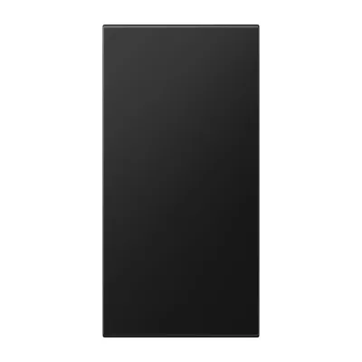 JUNG Abdeckung LS50NASWM | Abdeckung für Bussystem Taster | 33x70,5 mm | Thermoplast | IP20 | graphitschwarz matt