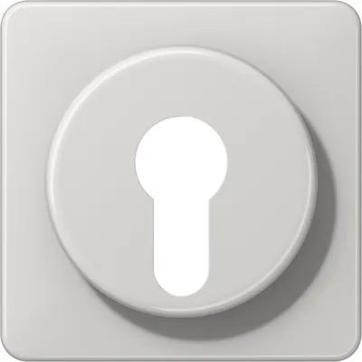 JUNG Abdeckung für Schlüsselschalter CD528LG | bruchsicher | Thermoplast | IP44 | Klemmbefestigung | lichtgrau