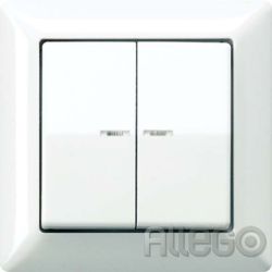 Jung Abdeckung Lichtleiter aws für Taster AS 590-5 KO5 WW