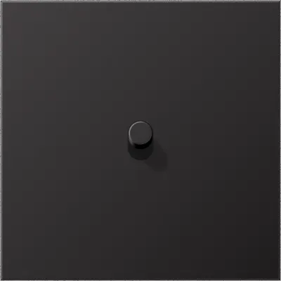 JUNG Abdeckung Schalter 1-fach AL12-0DR01 | Kipphebel Zylinder | Aluminium lackiert matt | 70x70 mm | dark