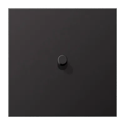 JUNG Abdeckung Schalter 1-fach AL12-0DR01 | Kipphebel Zylinder | Aluminium lackiert matt | 70x70 mm | dark
