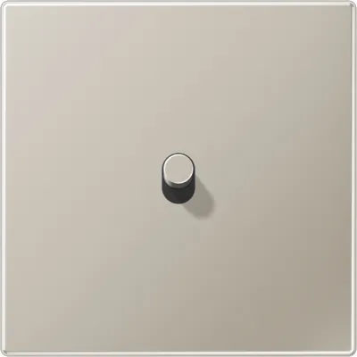 JUNG Abdeckung 1fach ES12-0R1 für Kippschalter | Kipphebel Zylinder | Edelstahl matt 70x70mm | halogenfrei | IP2X