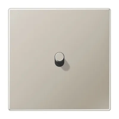 JUNG Abdeckung 1fach ES12-0R1 für Kippschalter | Kipphebel Zylinder | Edelstahl matt 70x70mm | halogenfrei | IP2X
