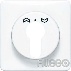Jung Abdeckung Schlüsselschalter CD528PT CD500/plus platin Jung Abdeckung Schlüs