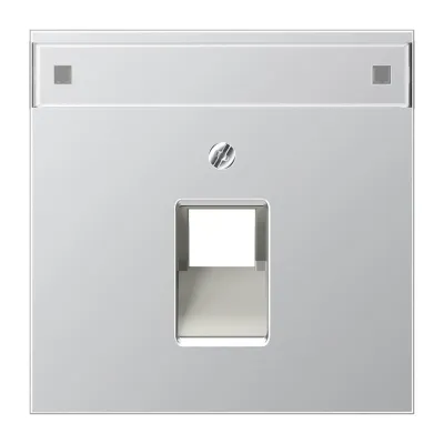JUNG Abdeckung UAE/IAE 1-fach AL2969-1NAUA | Zentralplatte mit Schriftfeld | Aluminium matt | 70x70mm | Aufputz
