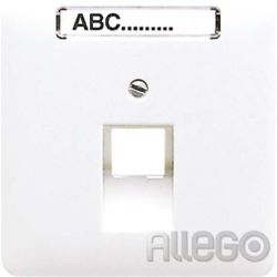 Jung Abdeckung Schriftfeld aws für IAE/UAE- CD 569-1 NAUA WW