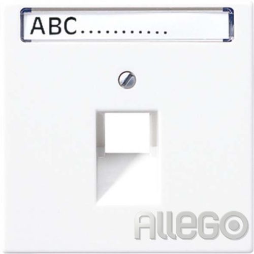 Bild: Jung Abdeckung Schriftfeld aws für IAE/UAE- LS 969-1 NAUA WW