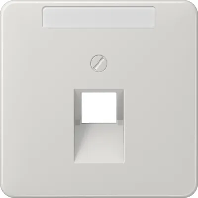 Jung Abdeckung Schriftfeld lgr für IAE/UAE- CD 569-1 NAUA LG