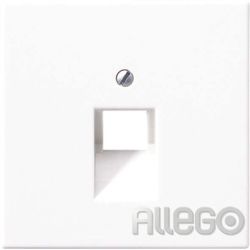 Jung Abdeckung ws für IAE/UAE-Dose LS 969-1 UA