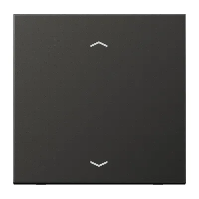 JUNG Steuertaste Standard AL1700PAN | Jalousie Wippe 1-fach | Aluminium matt anthrazit | für Jalousie- & Dimmeinsatz