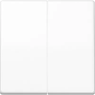 JUNG Steuertaste 2-fach Standard AS1702WW | Bedienelement Schalter/Dimmer | Duroplast glänzend | alpinweiß | RAL 9010